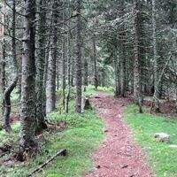 Vom Preiner Gscheid zum Semmering