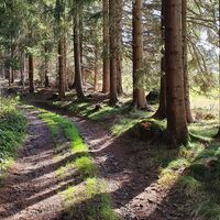 Anstieg zur Helfenberger Hütte