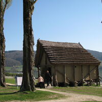 Steinzeithaus in Wangen