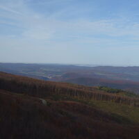 Ausblick beim Hochstand