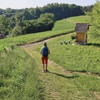 Über Wiesen wandern wir durch gepflegte Landschaft