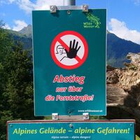 Abstieg entlang der Forststraße