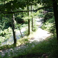 Abstieg von der Ruine in den Sattel