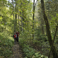 Gauchachschlucht