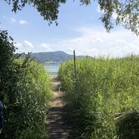 Ausblick auf Mattsee