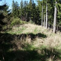 Zugang zum Kleinen Jauerlinggipfelkamm