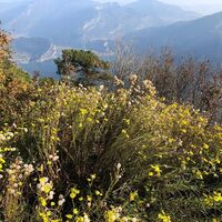 Blick auf Gardasee