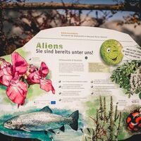 Infotafel zum Thema Neobiota und Klimawandel