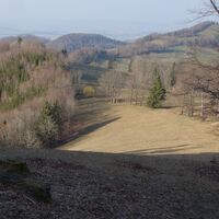 Abstieg Bichlberg Richtung Höllgraben