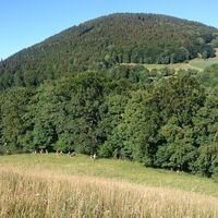 Entlang der Fränkischen Linie am Schiefergebirgsrand