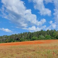 Landschaft, Eichfeld, Wüster Berg