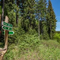Wegweiser Wanderung zur Schlossbergkanzel, Lütschetalsperre