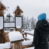 Die Säulen des Lebens - am Baumhoroskopweg