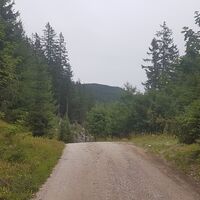 Sattel knapp vor dem Wolfstein