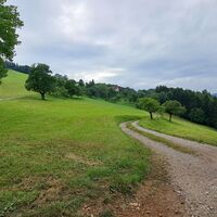 Abstieg unterhalb Gehöft Kopetzöd