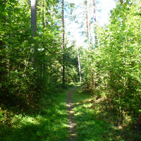 schattiger Rückweg