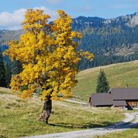 Höllgraben – Durchfall - Donnerwand - Spielkogel