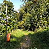 Spaziergang "Wildgehege" in Zell im Wiesental