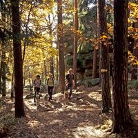 Steinwanderweg Langschlag