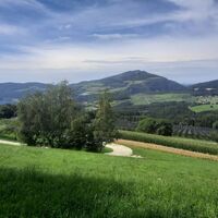 Ausblick vom Buchkogel  auf den Kulm, Stubenberg am See in der Oststeiermark