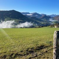 Freithofberg-Trail - Maria Neustift