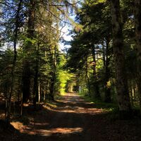 Sternenpfad in Sutrieu
