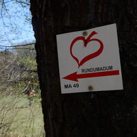 Hütteldorf - Lainzer Tiergarten - Liesing