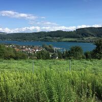 Blick von Herberts Bänkle