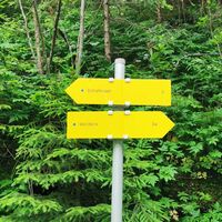 Links, Richtung Schafskogel