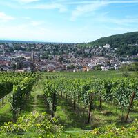 Ausblick auf Neustadt