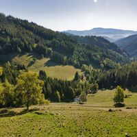 Aufstieg über die Almwiesen