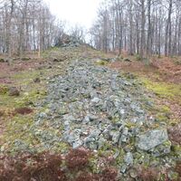 Steinwall der Heidemauer