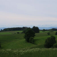 Blick gen Alpen am Rande des Golfplatzes Rickenbach