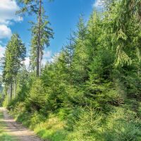 Historische Sportstätten Wanderung bei Oberhof