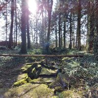 Rund um Alzenberg