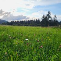 Durch Wiesen und Weiden im Gelängetal Medebach