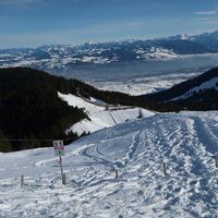 Schneeschuhtrail Selibüel-Panoramatrail