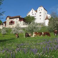 Schloss Wildegg