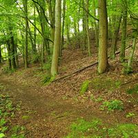 Ennepetal_Bilsteiner Berg