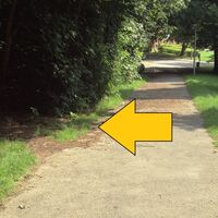 Salzgitter-Gebhardshagen, Wanderweg 22 Abzweig vom Baumlehrpfad aus