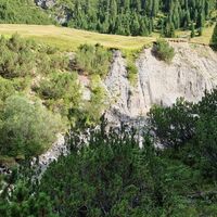 Blick zurück auf die Wiese, links der Bildmitte ist ein guter Abstieg zum Bach möglich.