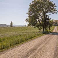 Hochsitz zwischen Wilchingerberg und Trasadingen
