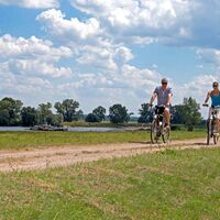 Elberadweg bei Sandau