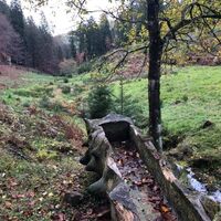 Wanderung Kälbertal im Oktober 2020