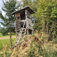 Hochsitz am Weg zur Ringwarte in der Oststeiermark