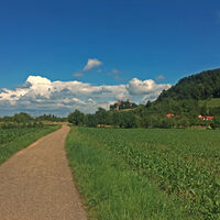 Blick auf das Schloss Ortenberg