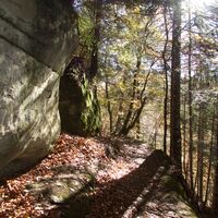 Weg vor Steiglenau - Alte Jakobswegroute
