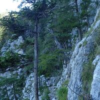 Aufstieg am Naturfreundesteig
