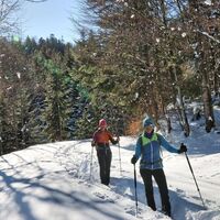 Dazwischen müssen wir im tiefen Schnee stapfen