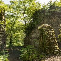 Abstecher: Ruine Weisswasserstelz